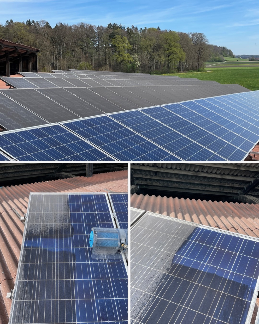 Kuhstall-Reinigung – Photovoltaik-Reinigung in Steinhausen durch SolarTrupp